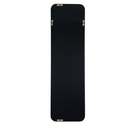Silver 47 x 14IN Door mirror
